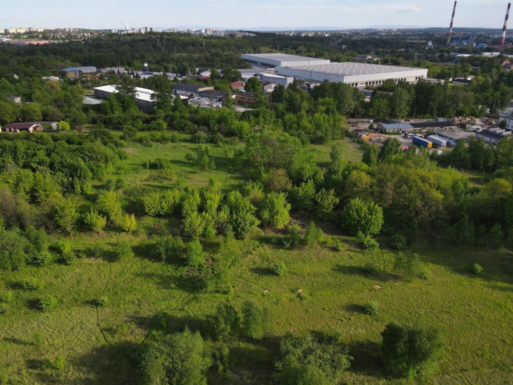 Teren inwestycyjny przy ul. Rutki Laskier - zdjęcie 5