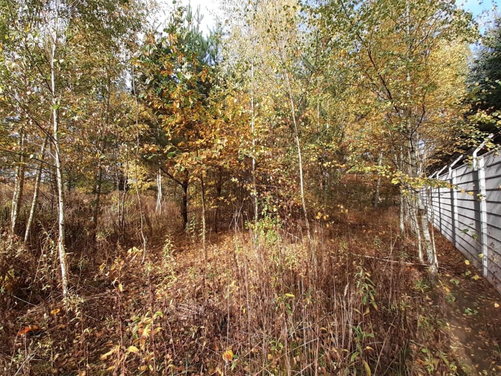 2 działki budowlane - Sękocin Nowy - zdjęcie 12