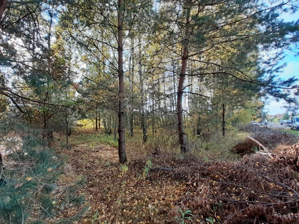 2 działki budowlane - Sękocin Nowy - zdjęcie 16