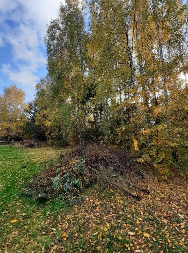 2 działki budowlane - Sękocin Nowy - zdjęcie 17