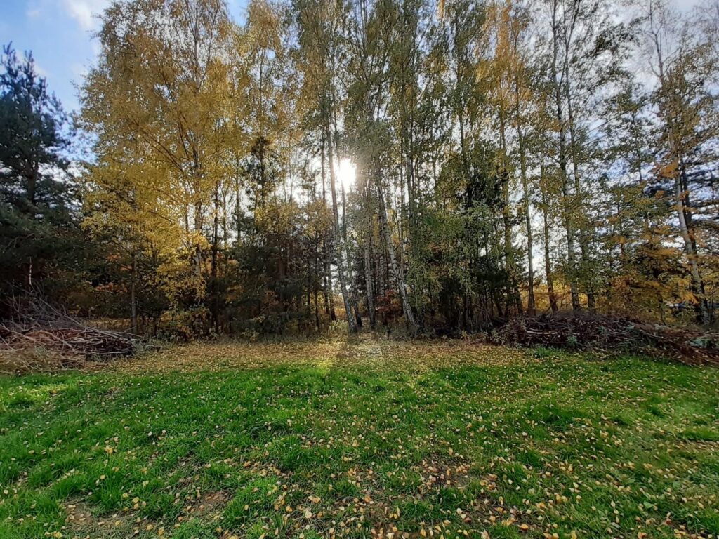 2 działki budowlane - Sękocin Nowy - zdjęcie 2