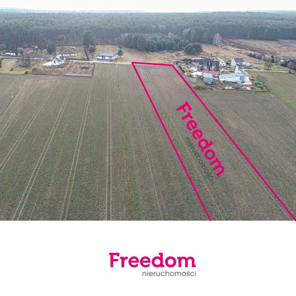 Działka rolno- budowlana tuż przy lesie - zdjęcie 3