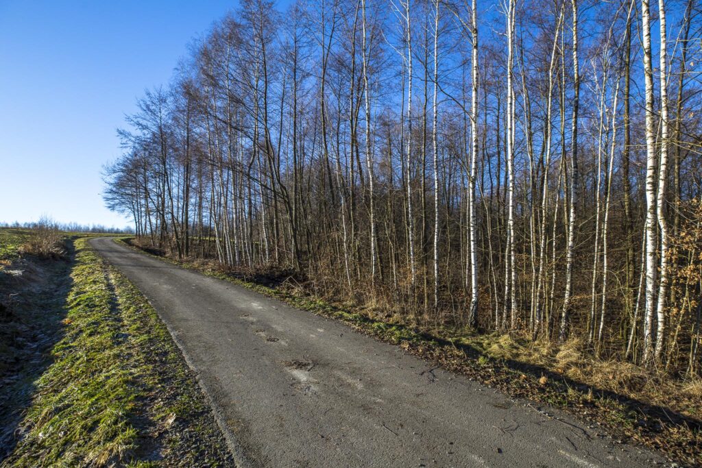 Działka rekreacyjna i budowlana, Błędowa Tycz. - rzut 1