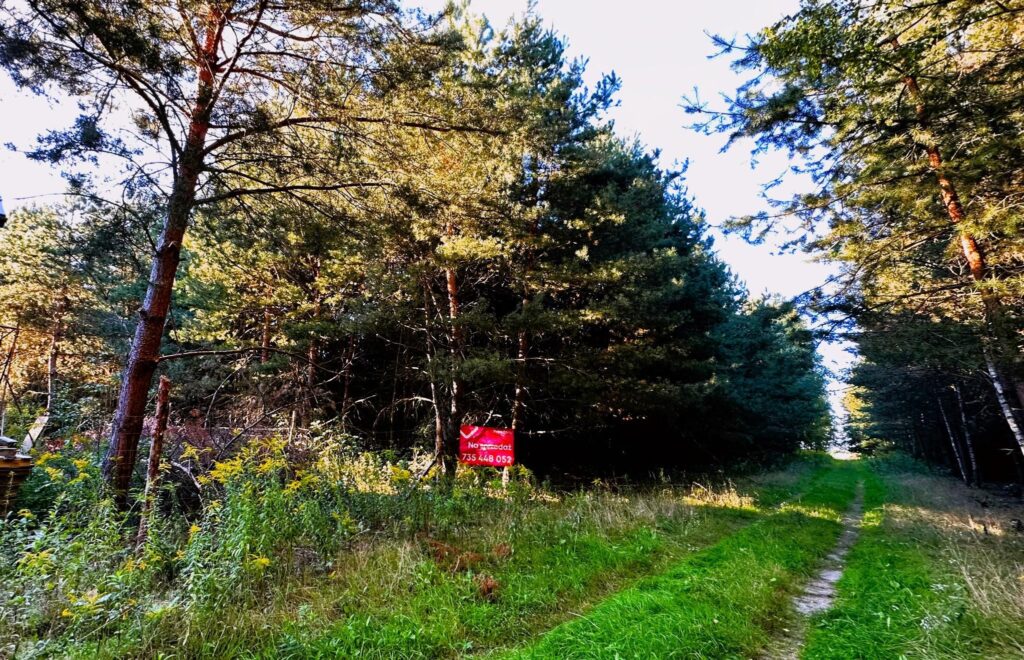 Działka 1000 m2 Żabia Wola - zdjęcie 3
