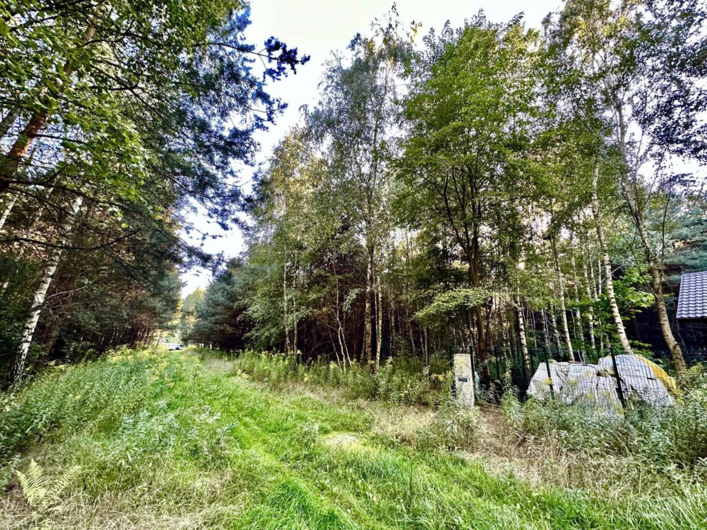 Działka 1000 m2 Żabia Wola - zdjęcie 7