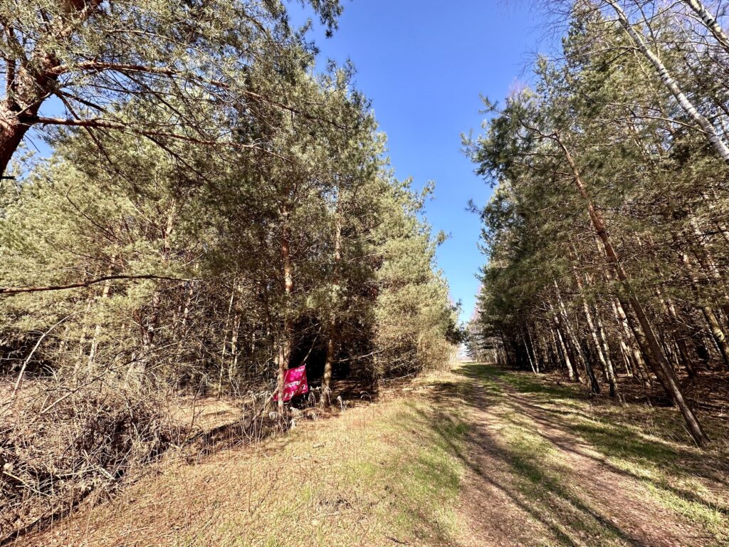Działka 1000 m2 Żabia Wola - zdjęcie 2