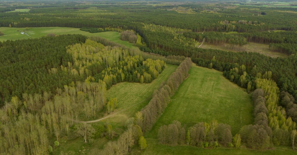Ziemia rolna - działka 15,8713 ha - zdjęcie 5