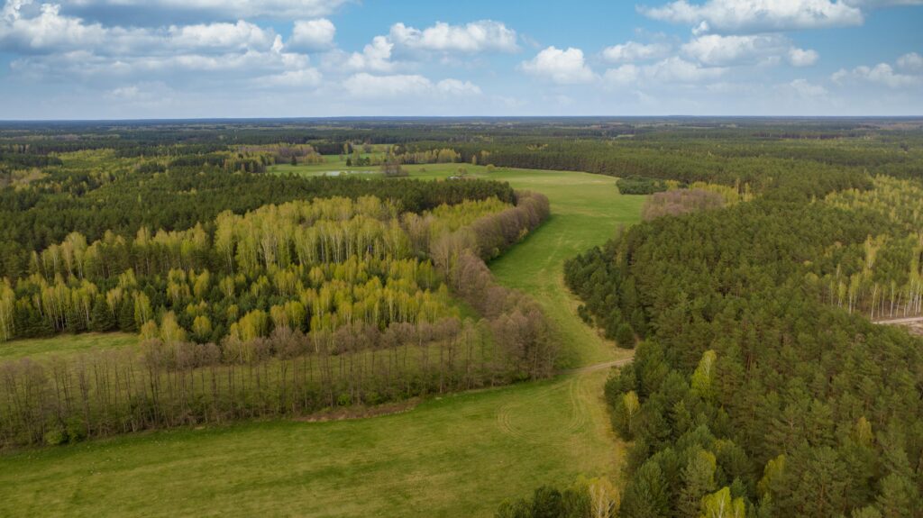 Ziemia rolna - działka 15,8713 ha - zdjęcie 6