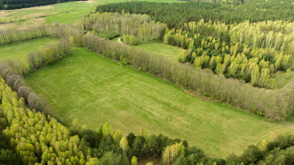 Ziemia rolna - działka 15,8713 ha - zdjęcie 7