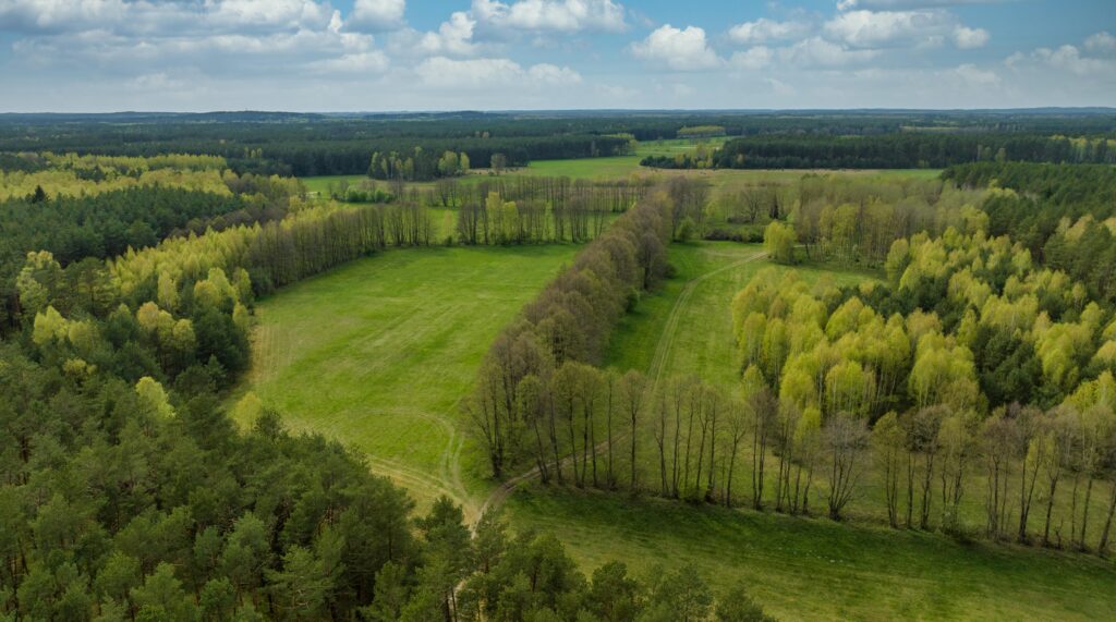 Ziemia rolna - działka 15,8713 ha - zdjęcie 8