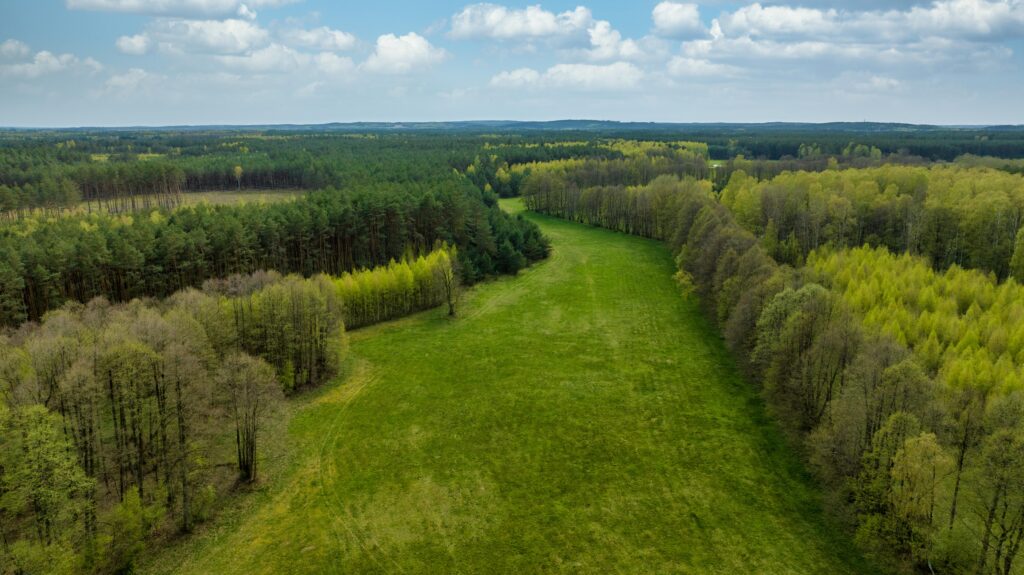 Ziemia rolna - działka 15,8713 ha - zdjęcie 9