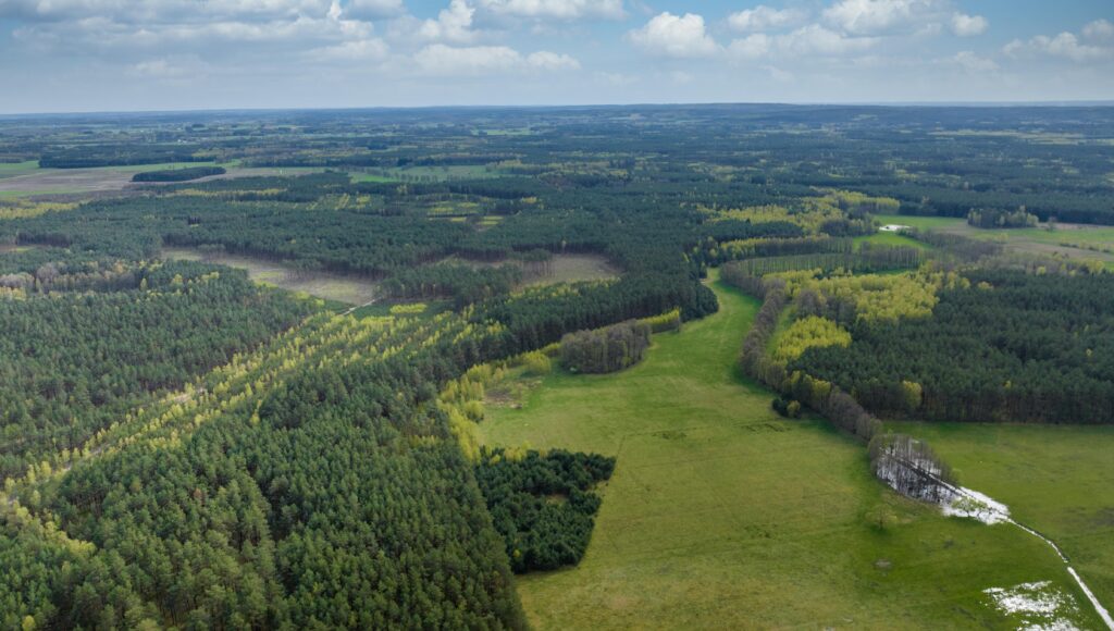 Ziemia rolna - działka 15,8713 ha - zdjęcie 10