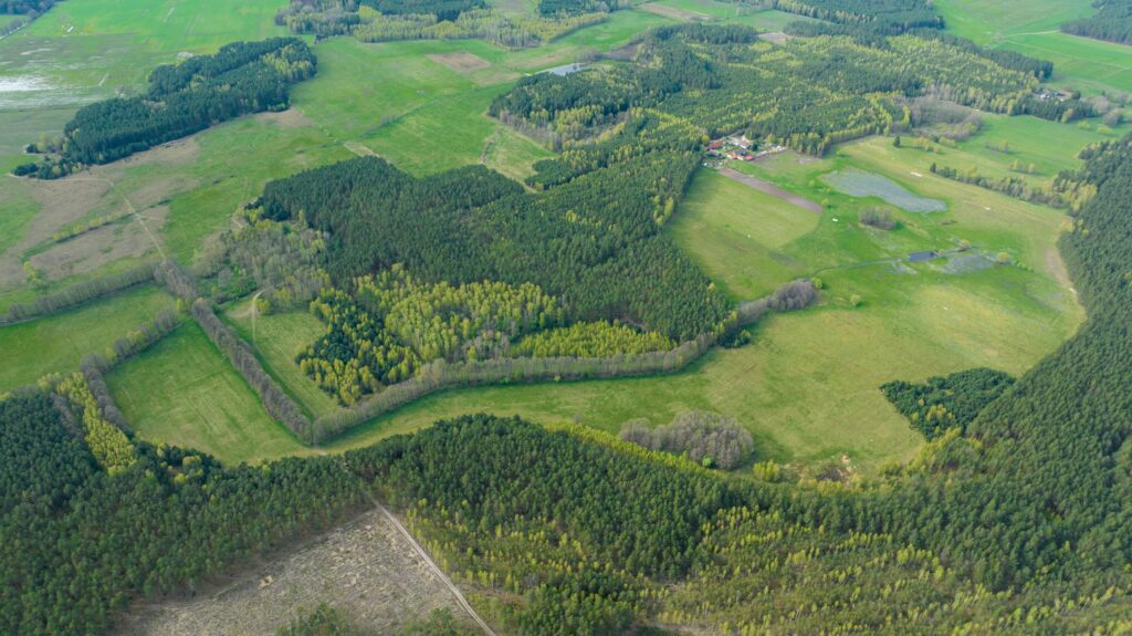 Ziemia rolna - działka 15,8713 ha - zdjęcie 11