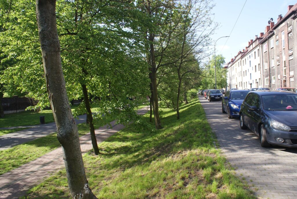 3 pokoje, centrum, niski blok - zdjęcie 2