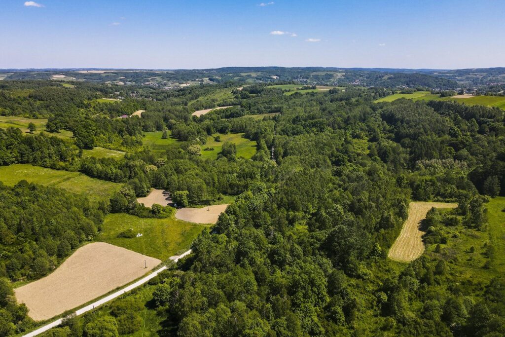 Działka 7,88 ha z MPZP Błażowa, Podkarpacie - zdjęcie 9