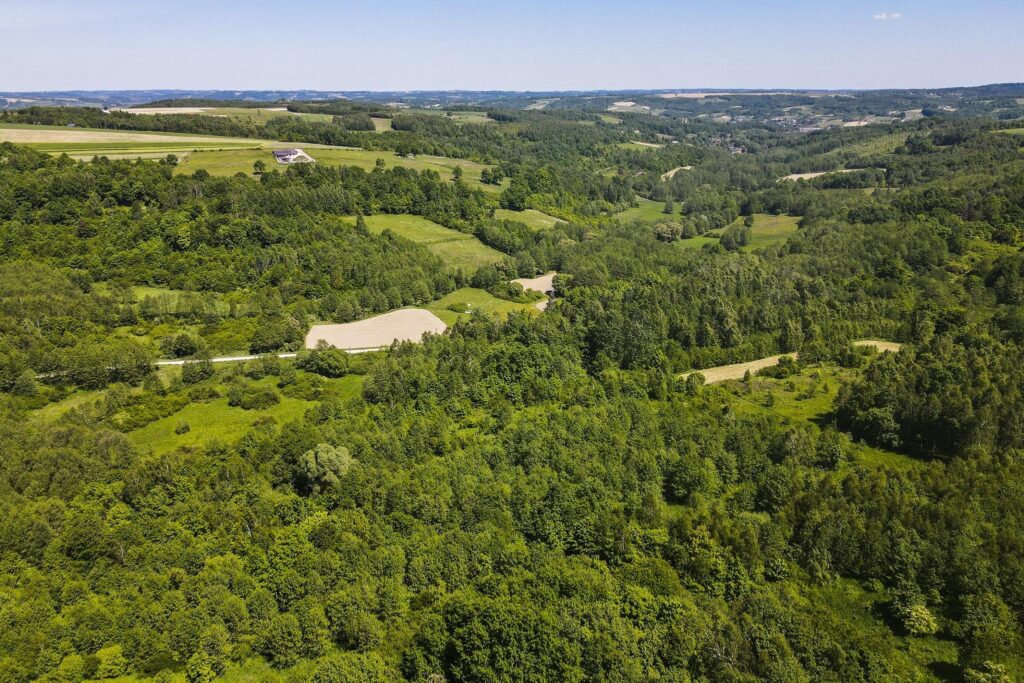 Działka 7,88 ha z MPZP Błażowa, Podkarpacie - zdjęcie 5