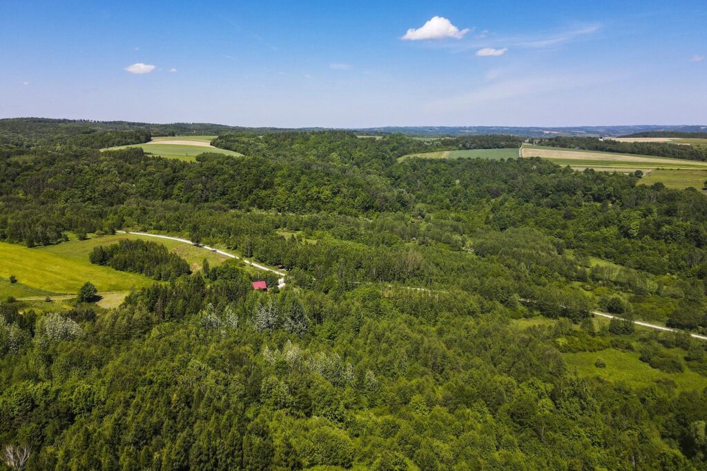 Działka 7,88 ha z MPZP Błażowa, Podkarpacie - zdjęcie 7