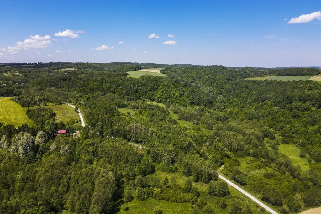 Działka 7,88 ha z MPZP Błażowa, Podkarpacie - zdjęcie 11