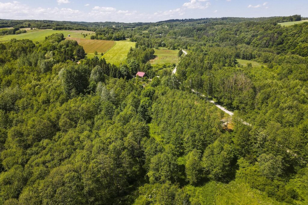 Działka 7,88 ha z MPZP Błażowa, Podkarpacie - zdjęcie 12