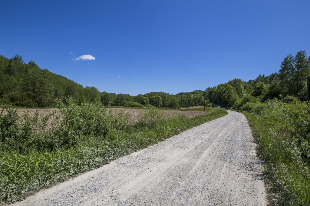 Działka 7,88 ha z MPZP Błażowa, Podkarpacie - zdjęcie 13