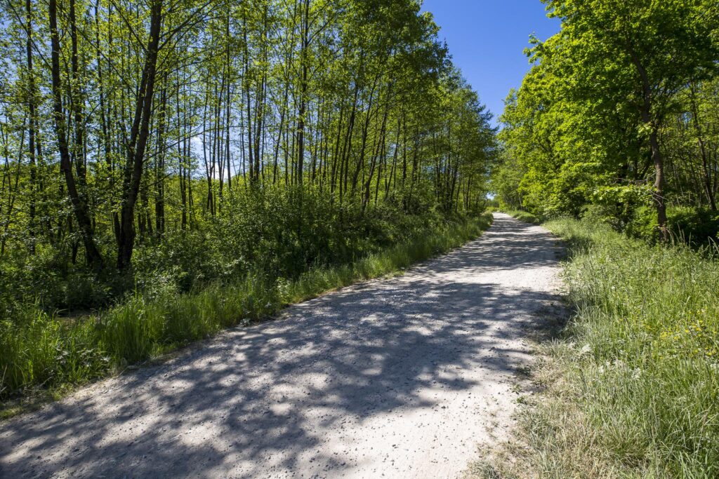 Działka 7,88 ha z MPZP Błażowa, Podkarpacie - zdjęcie 10