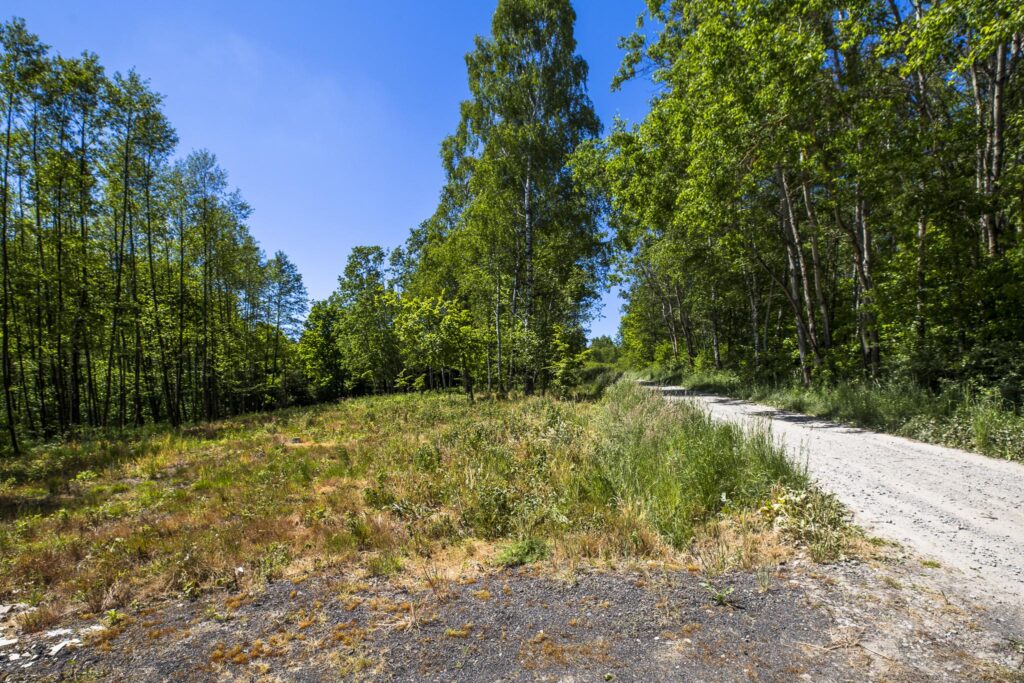 Działka 7,88 ha z MPZP Błażowa, Podkarpacie - zdjęcie 15