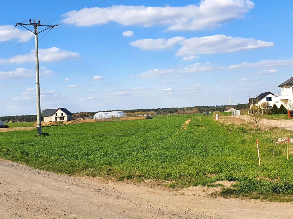 Działka budowlana w Daszewicach k. Poznania - zdjęcie 5