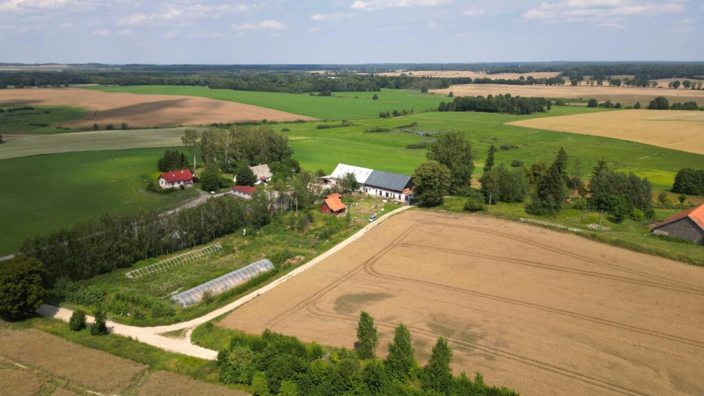Piękne siedlisko w okolicach Grunwaldu - zdjęcie 1