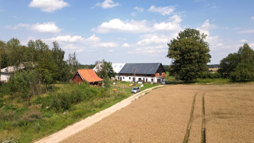 Piękne siedlisko w okolicach Grunwaldu - zdjęcie 4