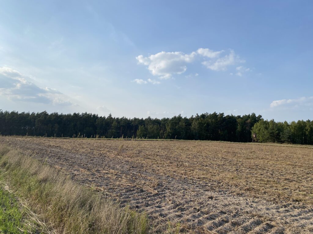 Nowa cena Urokliwej działki w Ciechocinie - zdjęcie 4