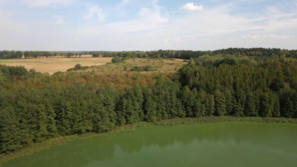 Urokliwa działka z linią brzegową w Mokinach - zdjęcie 11