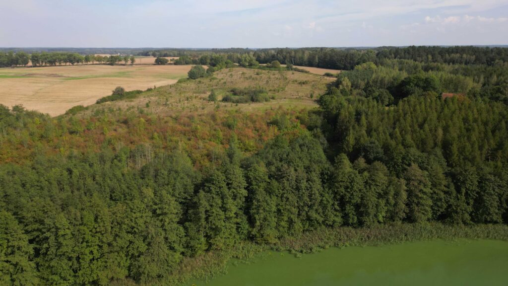 Urokliwa działka z linią brzegową w Mokinach - zdjęcie 12