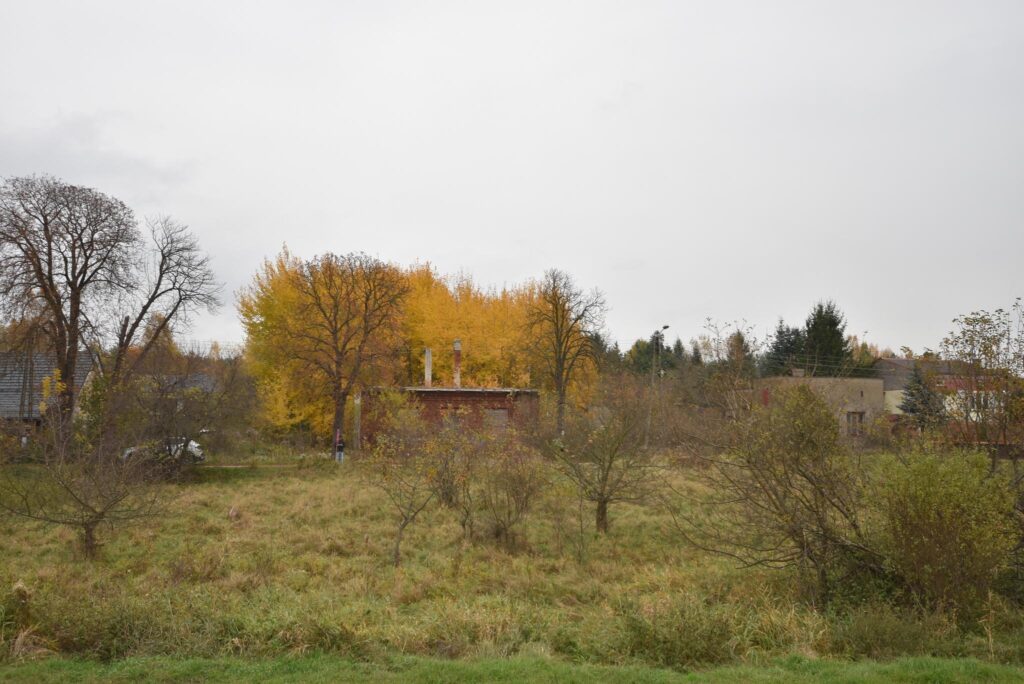 Działka 620 m2, cisza/natura - zdjęcie 11