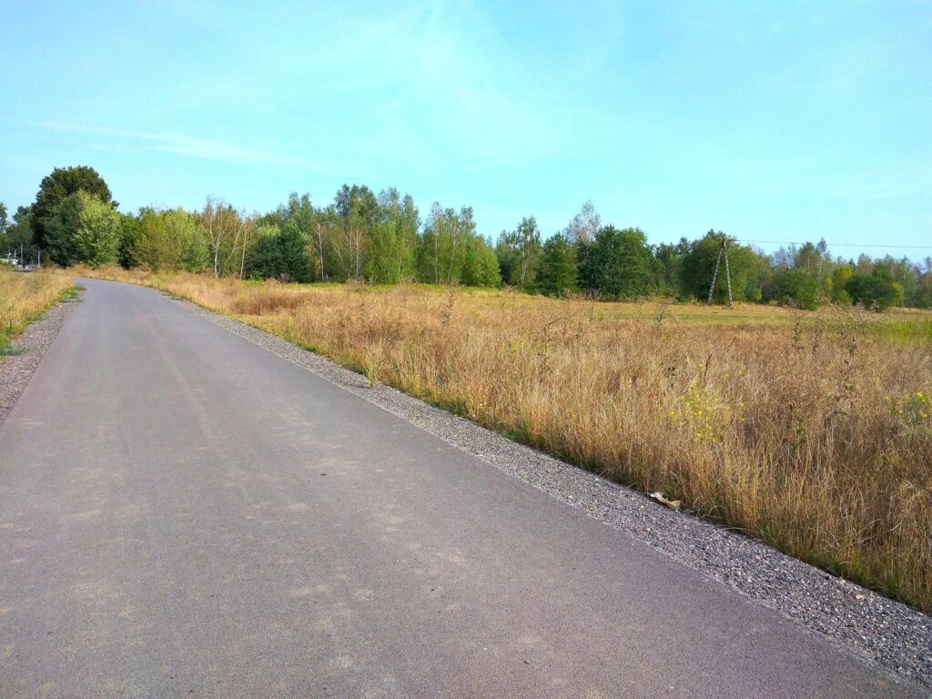 Działka inwestycyjna przy drodze 801 - zdjęcie 13