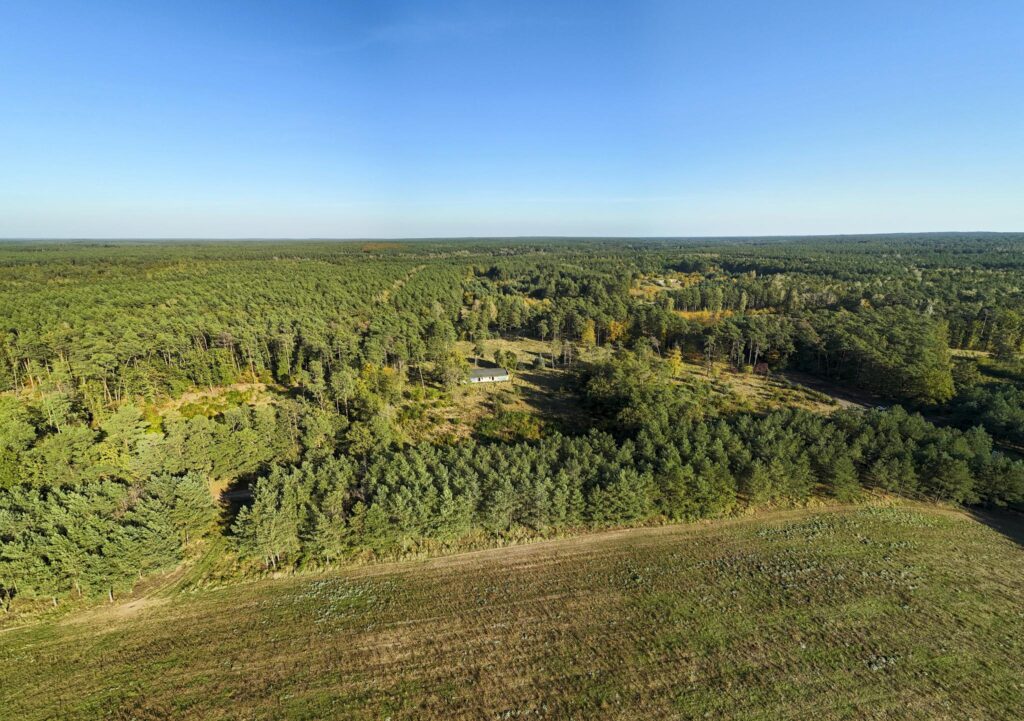 Działka inwest. - budowlana, Trzaskowo k. Poznania - zdjęcie 8