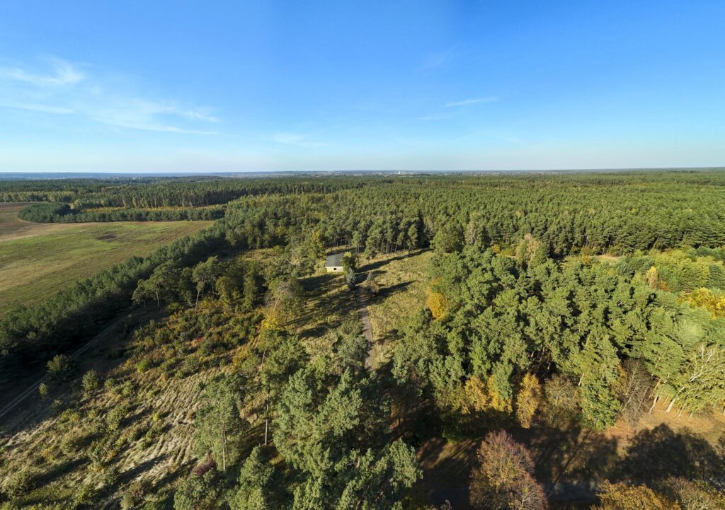 Działka inwest. - budowlana, Trzaskowo k. Poznania - zdjęcie 9