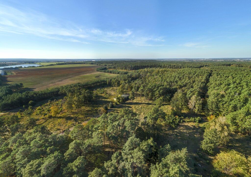 Działka inwest. - budowlana, Trzaskowo k. Poznania - zdjęcie 10