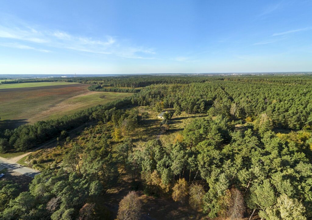 Działka inwest. - budowlana, Trzaskowo k. Poznania - zdjęcie 11