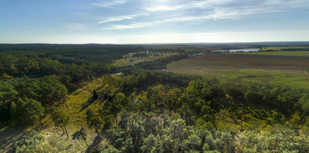 Działka inwest. - budowlana, Trzaskowo k. Poznania - zdjęcie 13