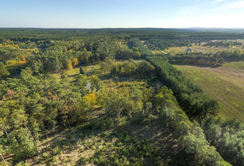 Działka inwest. - budowlana, Trzaskowo k. Poznania - zdjęcie 14