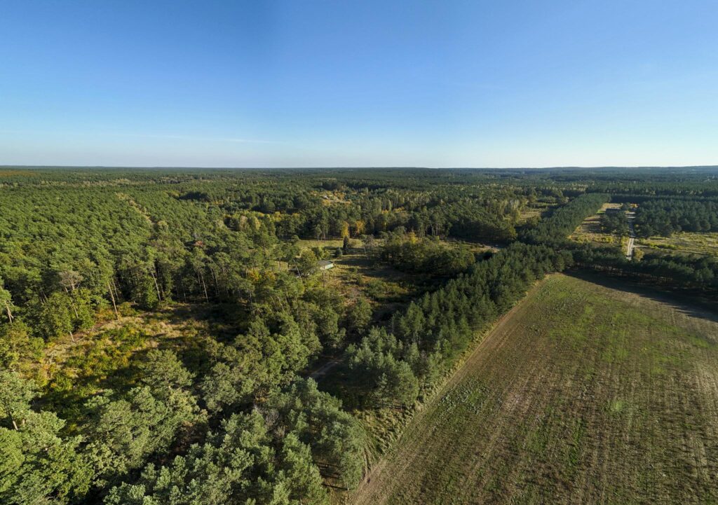 Działka inwest. - budowlana, Trzaskowo k. Poznania - zdjęcie 15