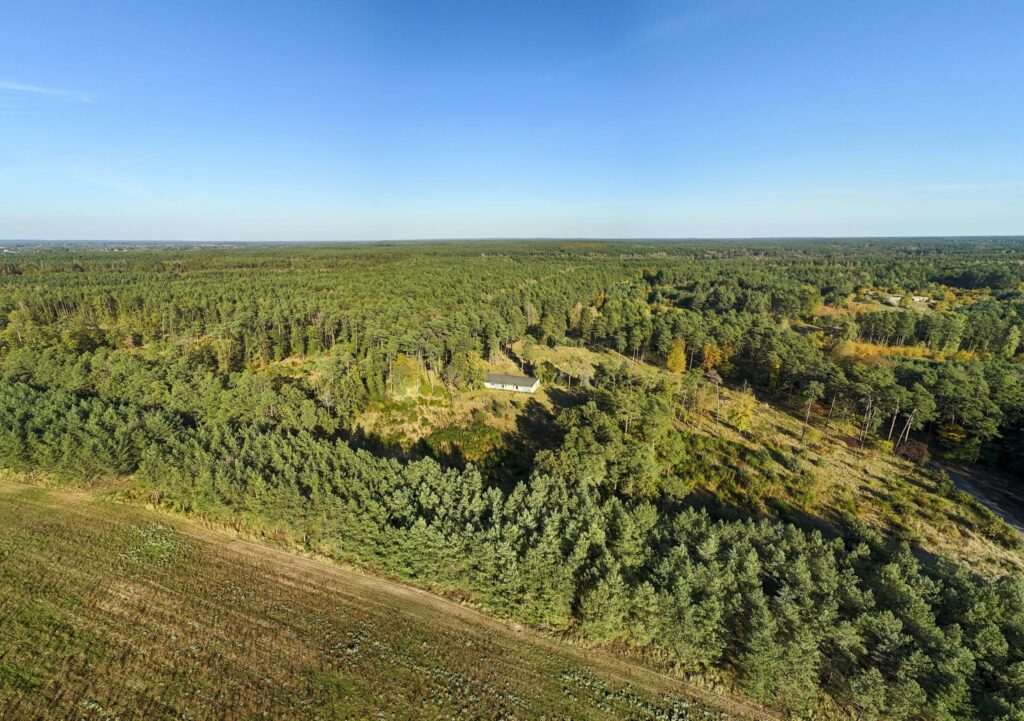 Działka inwest. - budowlana, Trzaskowo k. Poznania - zdjęcie 16