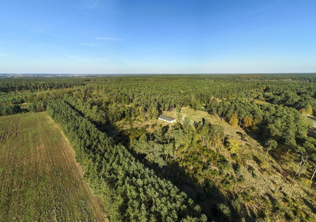 Działka inwest. - budowlana, Trzaskowo k. Poznania - zdjęcie 17