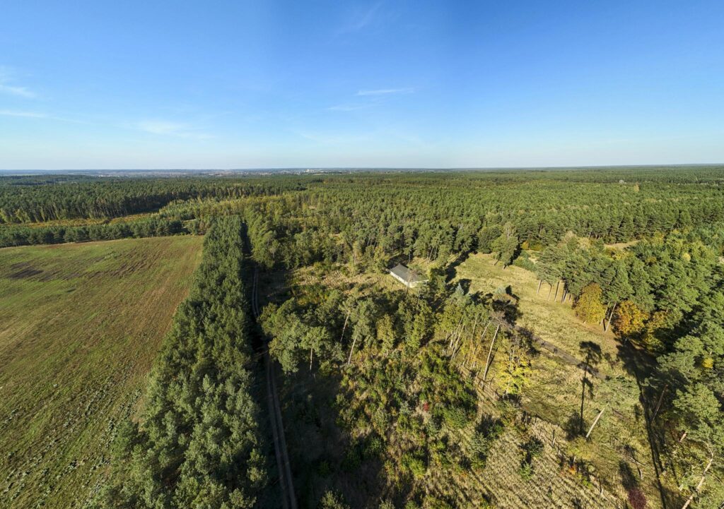 Działka inwest. - budowlana, Trzaskowo k. Poznania - zdjęcie 18