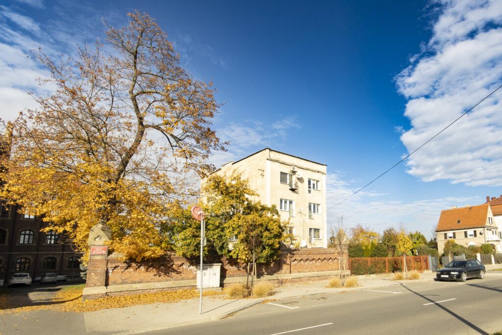 Kawalerka po generalnym remoncie w Nysie II piętro - zdjęcie 6
