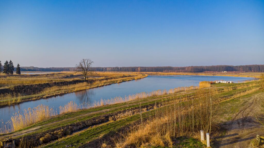 Piękna działka Piotrkowice gm. Żabia Wola - zdjęcie 13