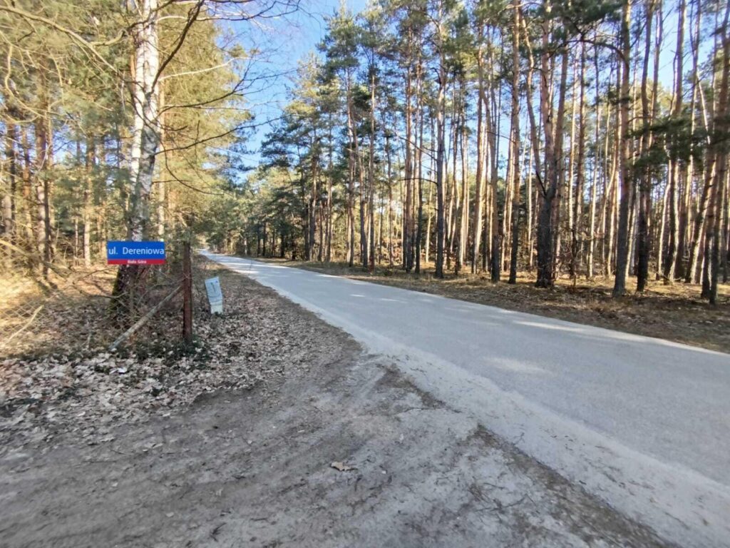 Biała Góra - Dom całoroczny w sercu lasu - zdjęcie 5