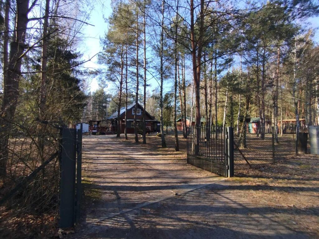 Biała Góra - Dom całoroczny w sercu lasu - zdjęcie 7