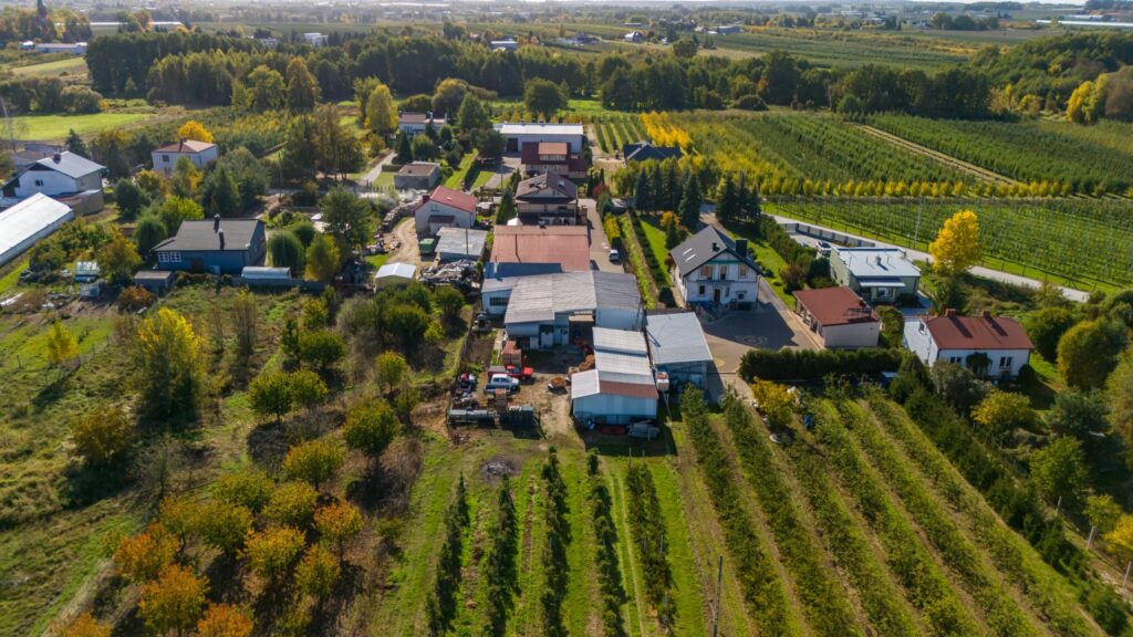 Dom 204 m² z warsztatem – idealny wybór! - zdjęcie 3