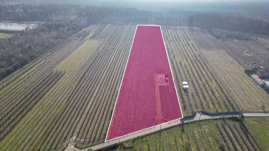 Działka rolna 2,25 ha - Marianka koło Tarczyna - zdjęcie 2